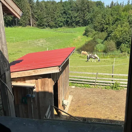 Metzner Апартаменты *