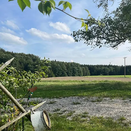 Metzner *